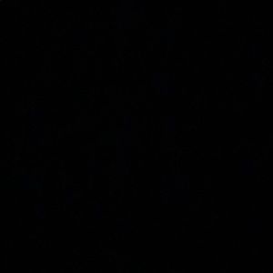 Meet your Posher, Jailan